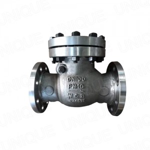 PN10 DN100 WCB DIN Carbon Steel Check Valve