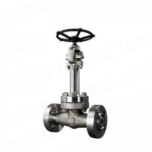 Extended Bonnet Cryogenic Globe Valve,CS,SS,WCB,CF8,CF3,CF8M,CF3M,4A,5A,Monel,150LB,300LB,600LB,900LB,1500LB,2500LB