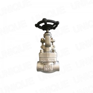 F316 Gate Valve,Carbon steel,Stainless steel,Duplex Steel, Alloy steel,Bronze,A105N,304,316,F51,F55,LF2,F91,Monel,C95800,B62,CS,SS