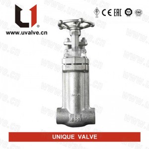 Forged Steel Bellows Seal Gate Valve,Carbon steel,Stainless steel,Duplex Steel, Alloy steel,Bronze,A105N,304,316,F51,F55,LF2,F91,Monel,C95800,B62,CS,SS