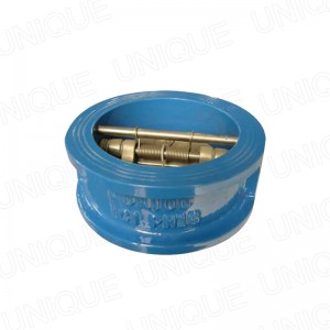 PN16 DN100 Cast Iron Wafer Check Valve