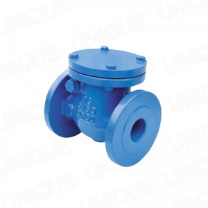 PN16 DN80 Ductile Iron Check Valve